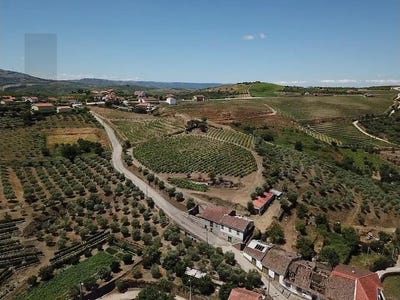 /international/pt/vilarouco-viseu-310104617784/