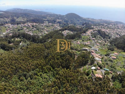 /international/pt/santa-cruz-madeira-310094534716/