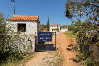 /international/pt/boliqueime-madeira-310108652630/