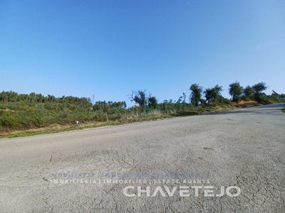 /international/pt/asseiceira-santarem-310103662831/