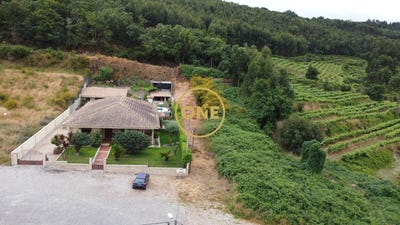 /international/pt/burgaes-porto-310108154559/