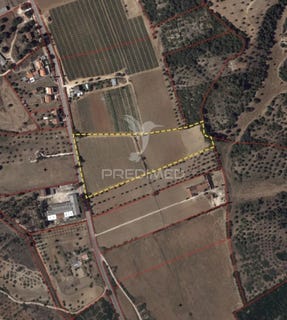 /international/pt/pernes-santarem-santarem-310105015326/