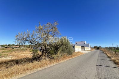 /international/pt/silves-faro-310103086628/