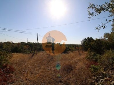 /international/pt/faro-faro-120086460113/