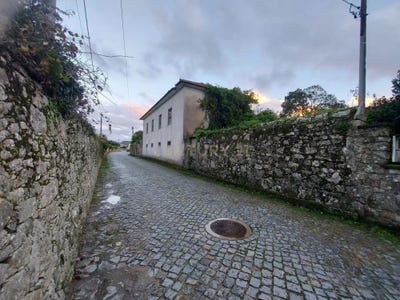 /international/pt/junqueira-braganca-310100669118/