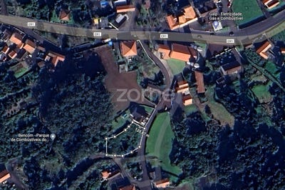 /international/pt/madalena-azores-120092607457/