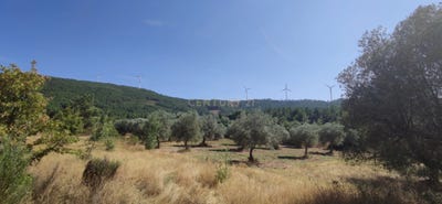 /international/pt/6p9q-27-benquerenca-portugal-benquerenca-castelo-branco-310101842480/