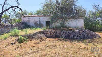 /international/pt/faro-faro-310097872097/