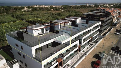 /international/pt/aveiro-aveiro-120066508629/