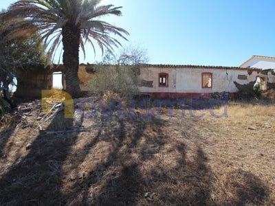 /international/pt/sao-bartolomeu-de-messines-faro-310105809256/