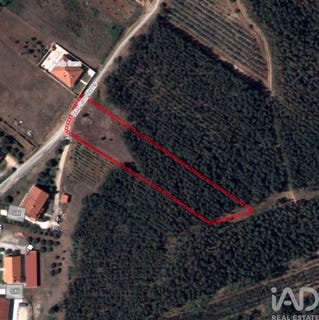 /international/pt/santarem-santarem-310105243719/