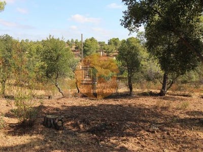 /international/pt/castro-marim-faro-120092191010/