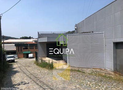 /international/pt/felgueiras-viseu-310103781396/