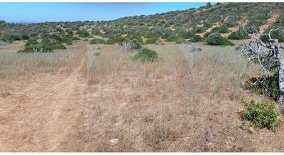 /international/pt/barrancao-vila-do-bispo-faro-120093017975/