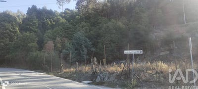 /international/pt/porto-braga-310103019781/