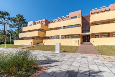 /international/pt/ovar-aveiro-310108454961/