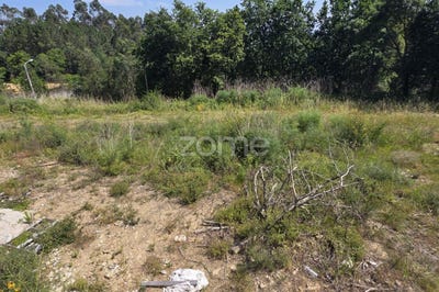 /international/pt/vila-verde-braganca-310108456681/