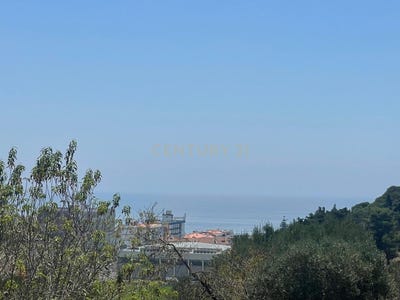 /international/pt/rua-do-moco-chamador-sesimbra-santiago-setubal-municipality-310107493649/
