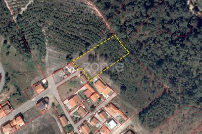 /international/pt/paredes-porto-310102845426/