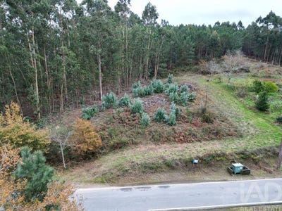 /international/pt/viana-do-castelo-viana-do-castelo-310104170102/