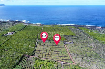 /international/pt/madalena-azores-310102645684/