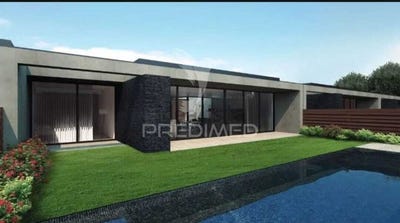 /international/pt/palmeira-braga-braga-310108370672/