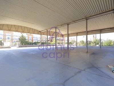 /international/pt/quelfes-faro-310104859097/