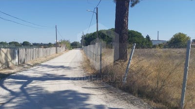 /international/pt/quinta-do-anjo-setubal-municipality-310106576098/