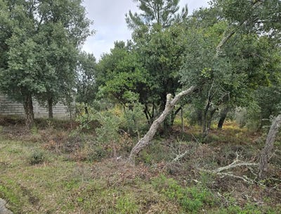 /international/pt/rua-vale-da-vila-6-6100-portugal-serta-porto-310105188369/