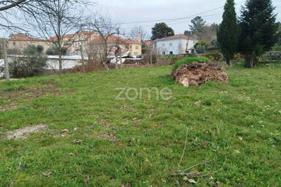 /international/pt/mangualde-viseu-310098389291/?lang=zh-cn