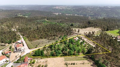 /international/pt/cavada-nova-gestosa-santa-comba-dao-e-couto-do-mosteiro-viseu-district-310107360059/