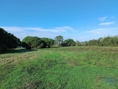 /international/pt/sesimbra-santiago-setubal-municipality-310101188499/
