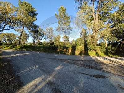 /international/pt/torres-novas-santa-maria-santarem-310099591754/