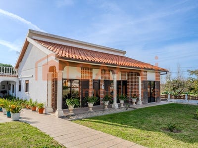 /international/pt/carrico-leiria-310100483246/