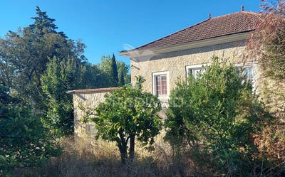 /international/pt/romeira-e-varzea-santarem-santarem-310094512120/