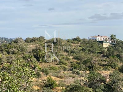 /international/pt/boliqueime-madeira-310107361350/