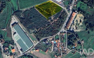 /international/pt/porto-braga-310107491838/