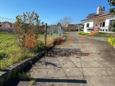 /international/pt/cortegaca-aveiro-310100491531/