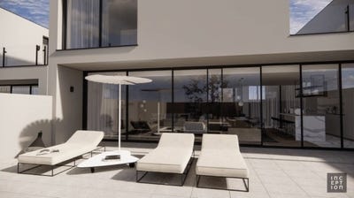 /international/pt/palmeira-braga-310099836538/