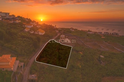 /international/pt/caminho-dos-pessegueiros-arco-da-calheta-portugal-ilha-da-madeira-madeira-310103153616/