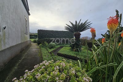 /international/pt/ribeira-grande-azores-310097843512/