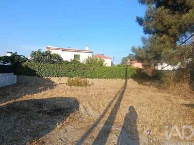 /international/pt/setubal-setubal-municipality-310108558162/