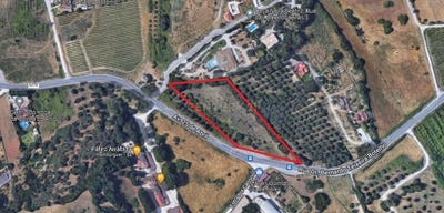 /international/pt/quinta-do-anjo-setubal-municipality-310099940310/
