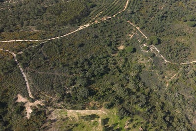 /international/pt/melides-setubal-municipality-310107599233/