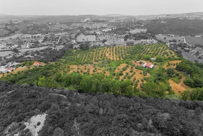 /international/pt/r-movimento-das-forcas-armadas-26-2670-bucelas-portugal-bucelas-lisbon-310109175712/