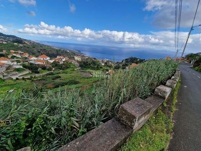 /international/pt/santa-cruz-setubal-municipality-310103490494/