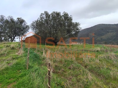 /international/pt/saboia-beja-310106412843/