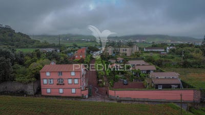 /international/pt/ribeira-seca-ribeira-grande-azores-310100667623/