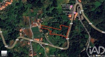 /international/pt/ilha-da-madeira-madeira-310102343938/