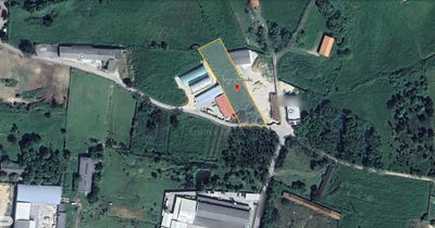 /international/pt/benedita-leiria-310109074517/